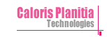 Caloris Planitia
